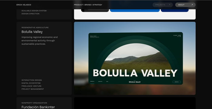 Project thumbnails