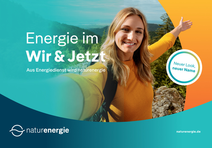 Naturenergie brand identity and websites 1