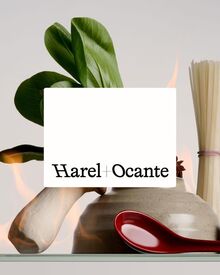 Harel+Ocante website