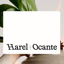 Harel+Ocante website