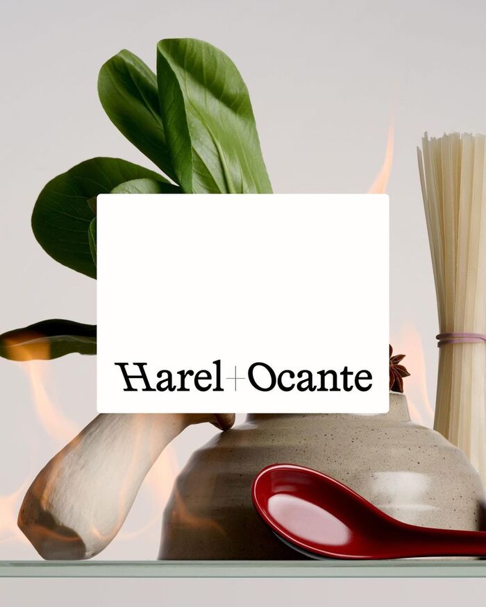 Harel+Ocante website 1