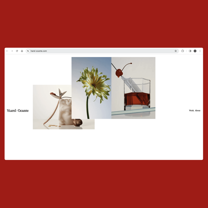 Harel+Ocante website 2