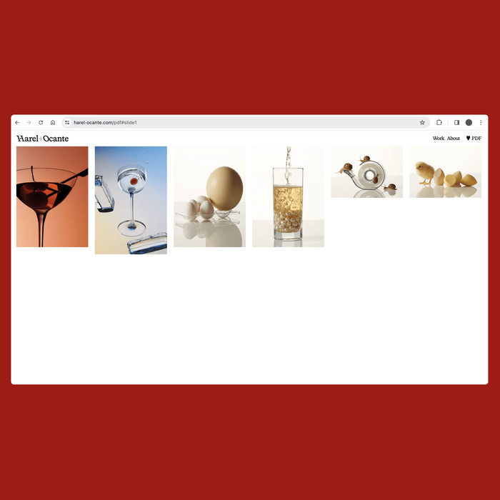 Harel+Ocante website 3