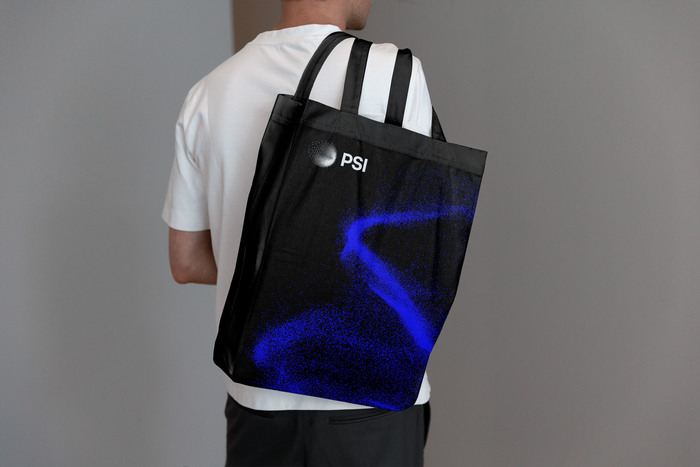 Paul Scherrer Institute PSI 6