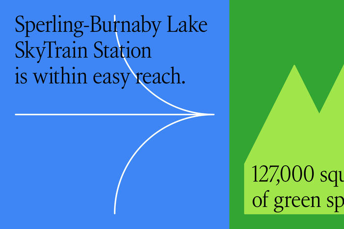 Burnaby Lake 12