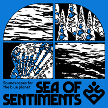 Sea of Sentiments