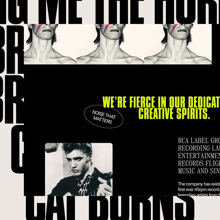 RCA Records UK website 11