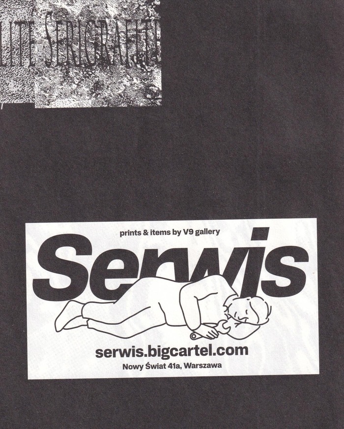 Serwis 3