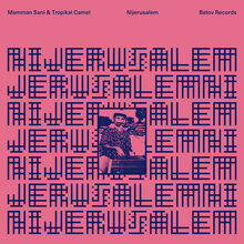 Mamman Sani &amp; Tropikal Camel – <cite>Nijerusalem</cite> album art