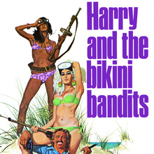<cite>Harry and the Bikini Bandits</cite> by Basil Heatter