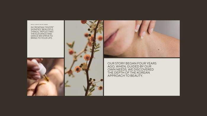 Divote Cosmetics 4