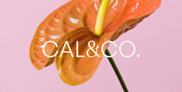 Cal&amp;Co 1