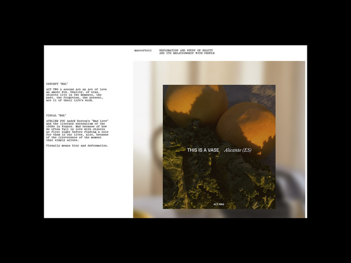 Project page. Using only a single style/weight, it was easy to create a style guide with a proper hierarchy