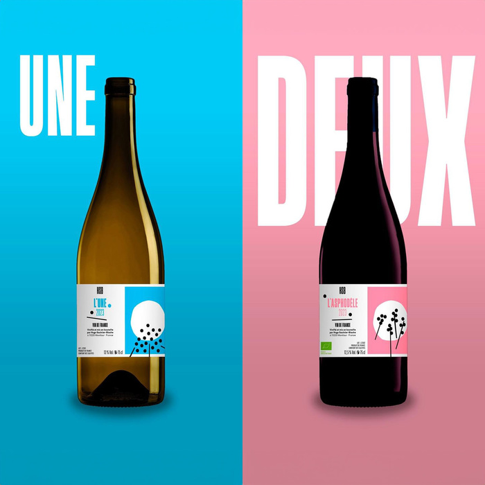 HSB organic wines 1