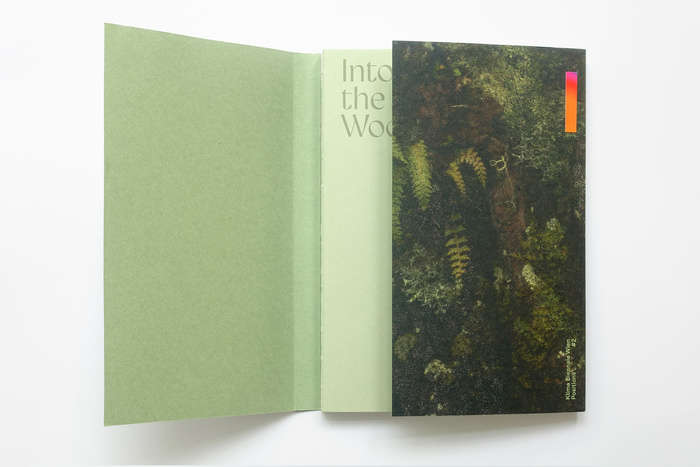 Into the Woods exhibition, Klima Biennale Wien 2