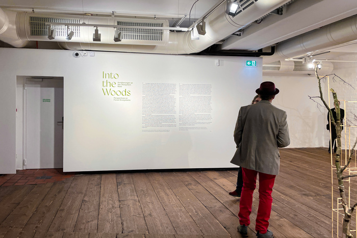 Into the Woods exhibition, Klima Biennale Wien 7