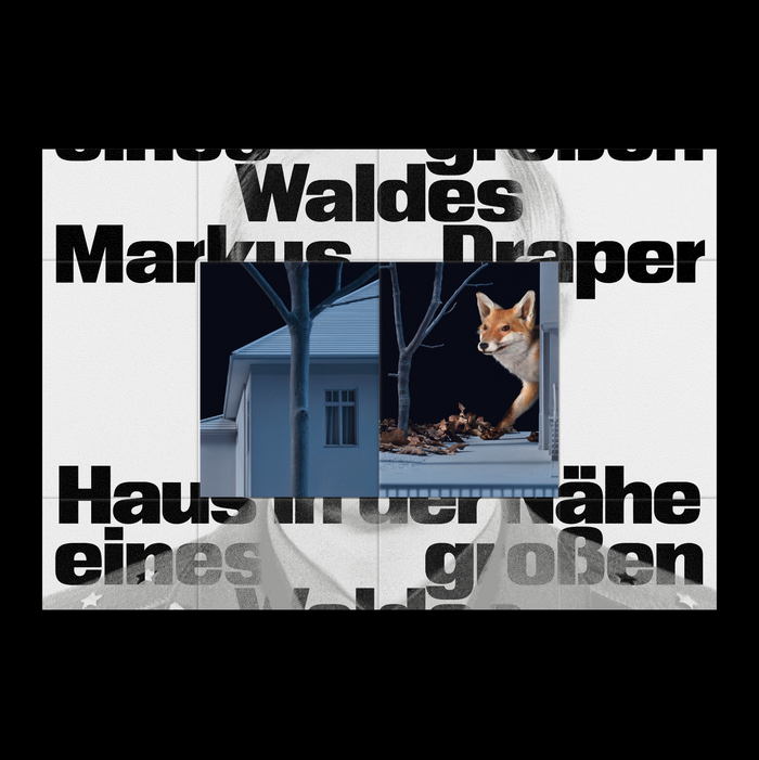 Markus Draper – Haus in der Nähe eines großen Waldes 6