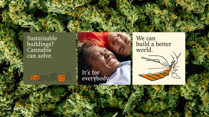 Cannaheal 6