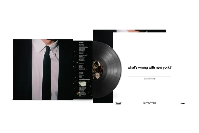 The Dare – What’s Wrong with New York? album art, identity, web store 1