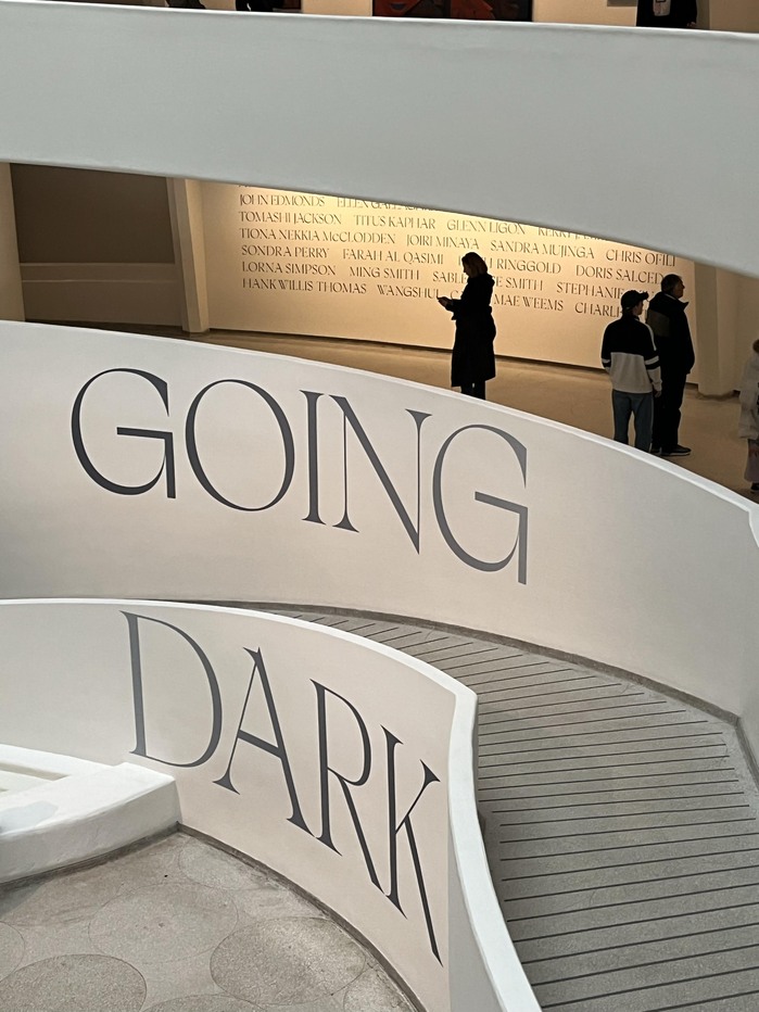 Going Dark: The Contemporary Figure at the Edge of Visibility 3