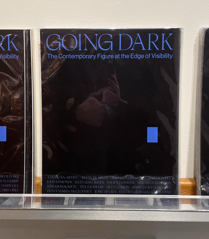 Going Dark: The Contemporary Figure at the Edge of Visibility 7