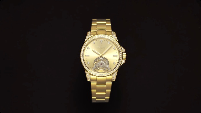 Trump $100,000 watch 3