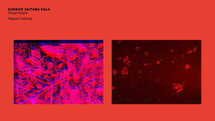 Colours of Africa website 9