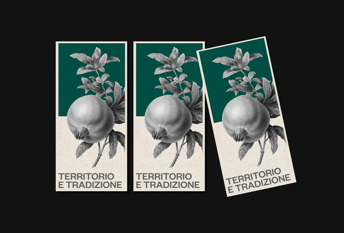 Ama Terra 2