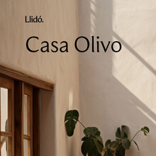 Llid<span><span>ó</span></span>