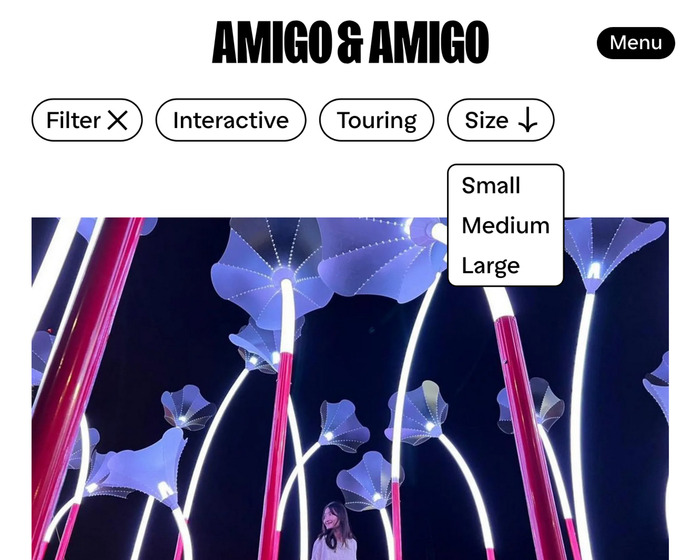 Amigo &amp; Amigo website 6