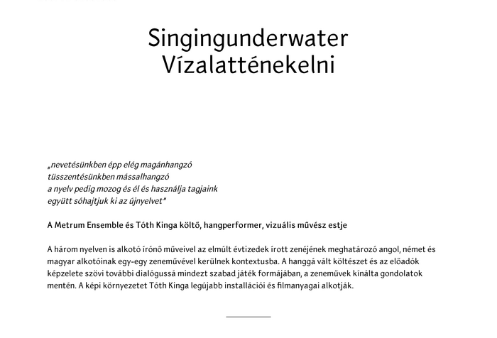Metrum Ensemble website 4