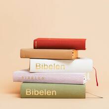 <cite>Bibelen</cite>, <span>Det Norske Bibelselskap</span>