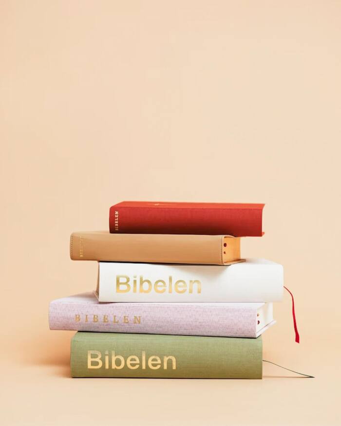 Bibelen, Det Norske Bibelselskap 5