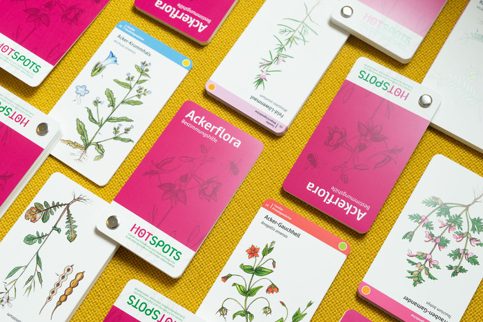 Ackerflora species guide 3