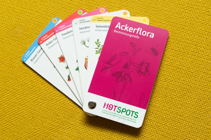 Ackerflora species guide 2