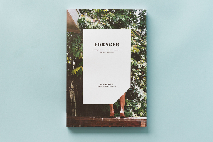 Forager, A Subjective Guide To Miami’s Edible Plants 1