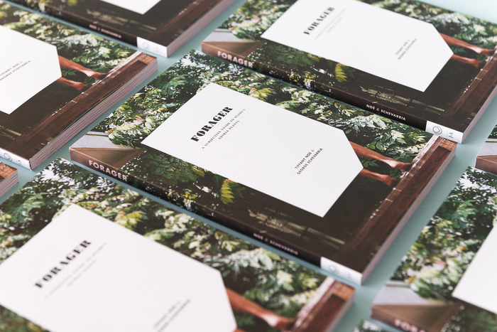 Forager, A Subjective Guide To Miami’s Edible Plants 2