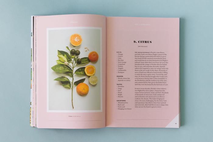 Forager, A Subjective Guide To Miami’s Edible Plants 4