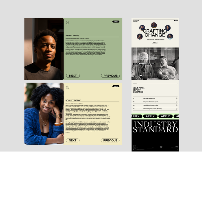 Industry Standard website 3