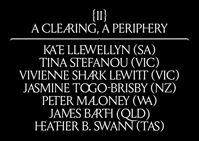 Inner Sanctum – 2024 Adelaide Biennial of Australian Art 4