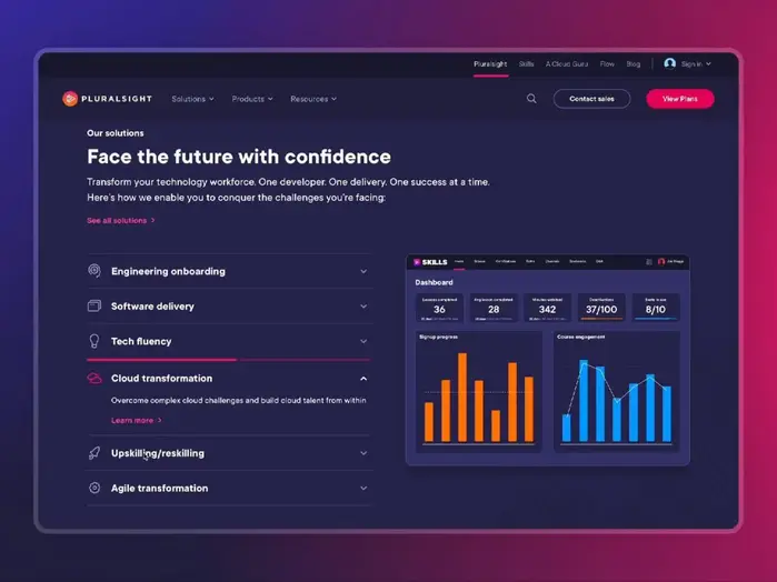 Pluralsight 6