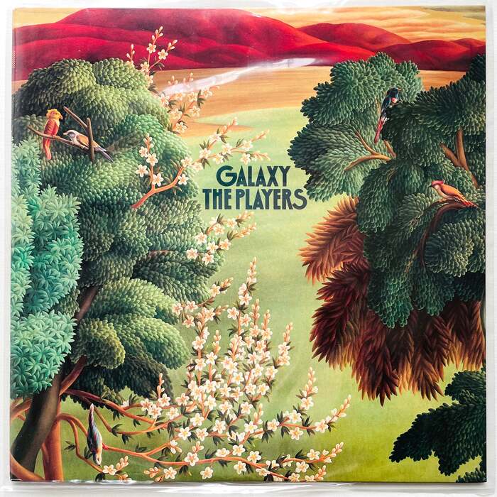 The Players ft. Hiromasa “Colgen” Suzuki – Galaxy album art 1