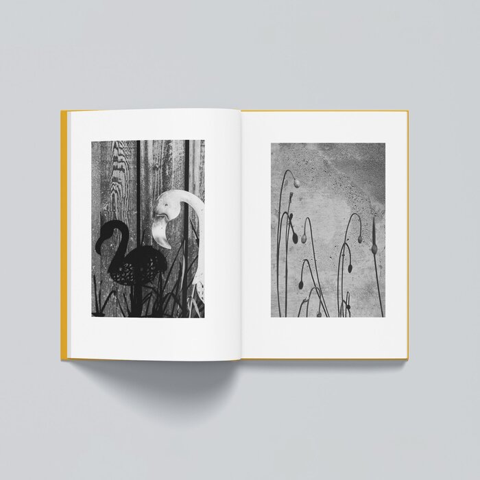 NOTICE by Wesley Verhoeve 4