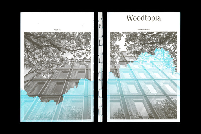 Woodtopia 1