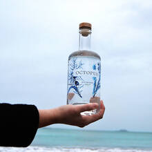 Octopus gin
