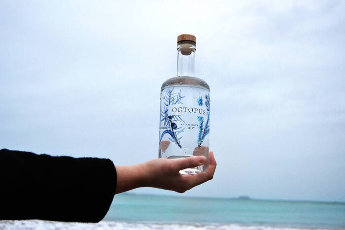 Octopus gin 1