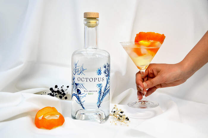 Octopus gin 2