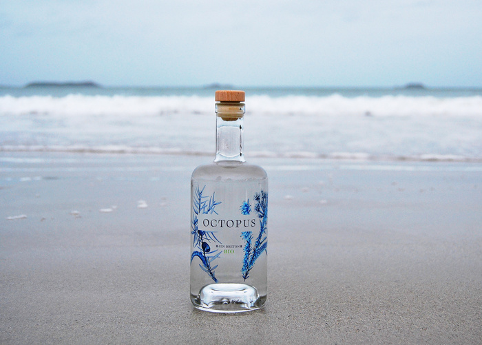 Octopus gin 3