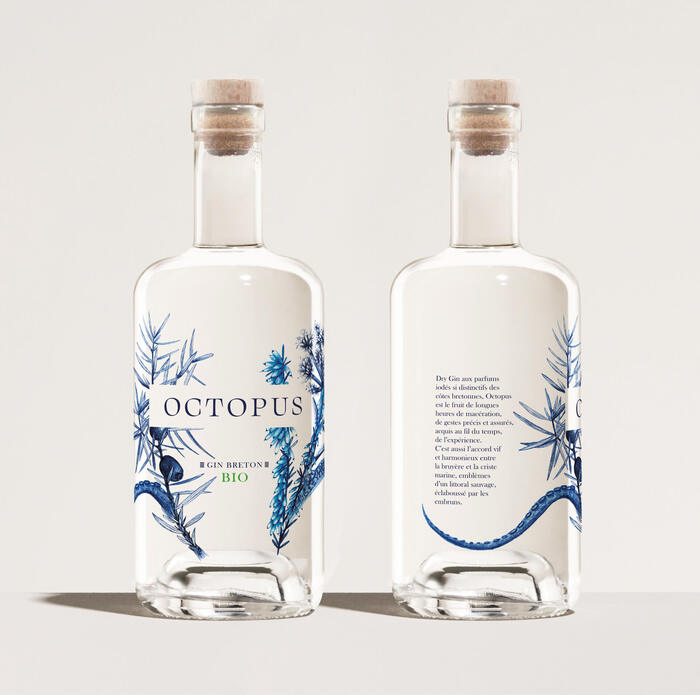 Octopus gin 4