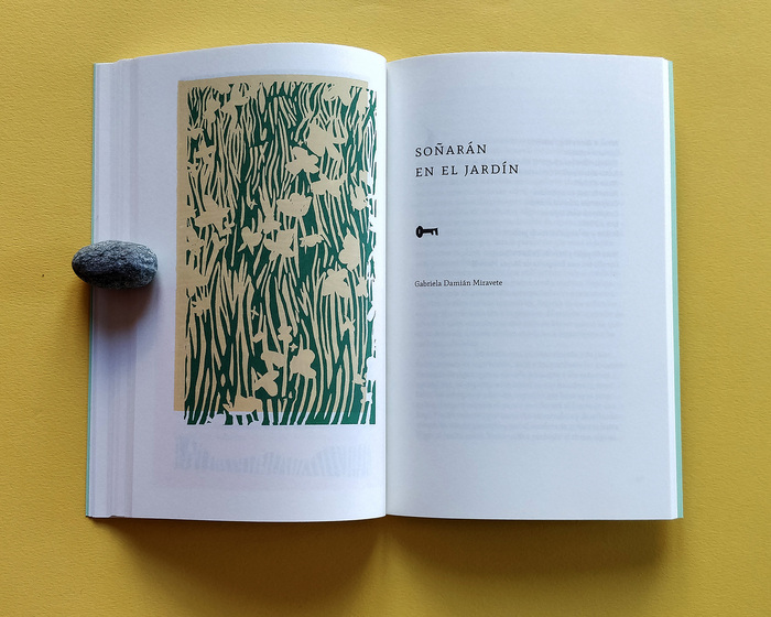 Im Garten werden sie träumen / Soñaran en el jardín by Gabriela Damián Miravete 4